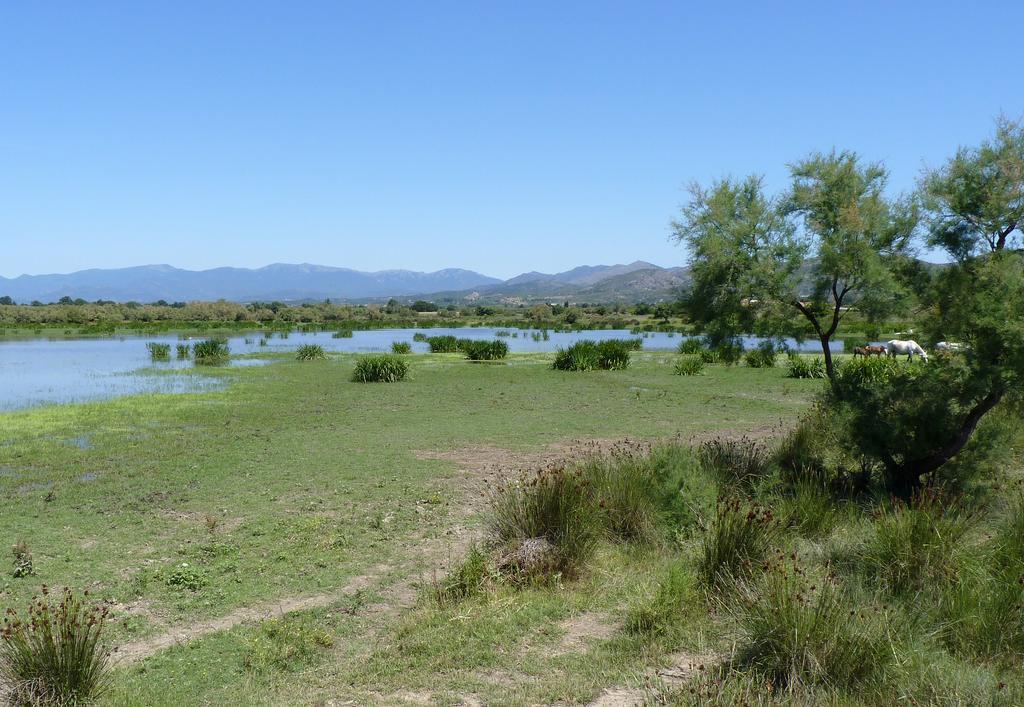 Hotel Can Ceret Sant Pere Pescador Luaran gambar